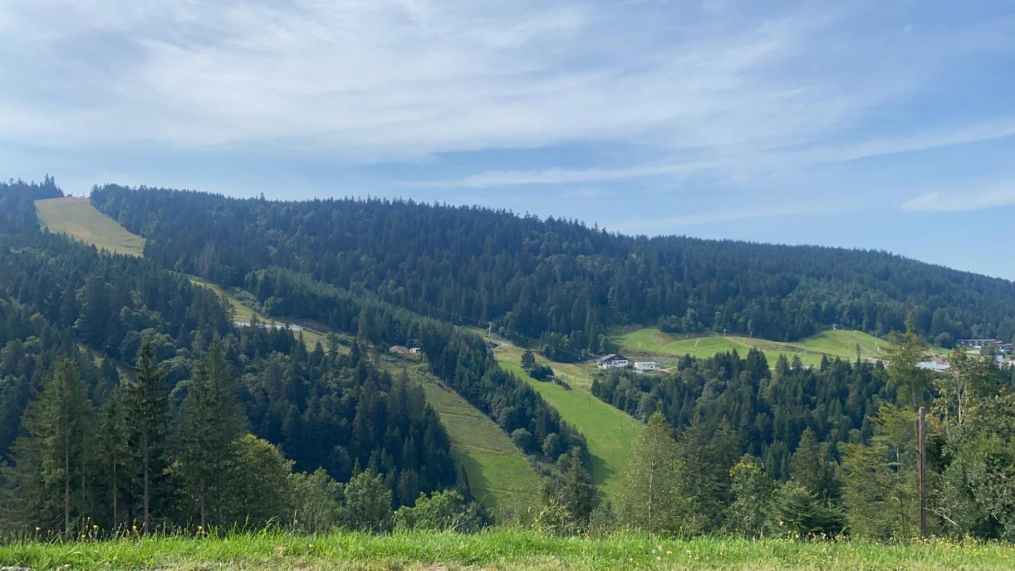 Appartement Sur Les Hauteurs De Gérardmer Exterior foto